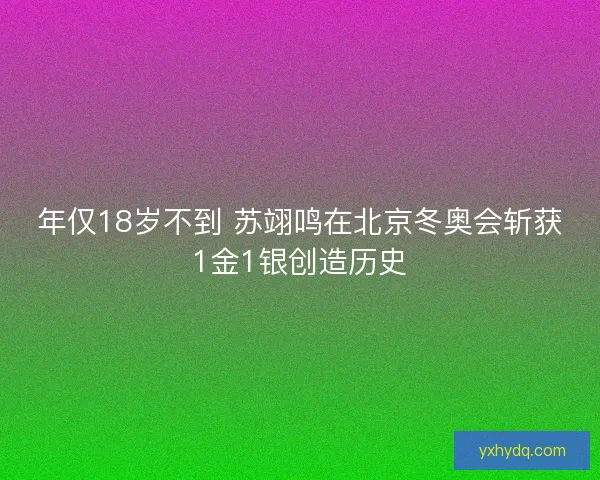 年仅18岁不到 苏翊鸣在北京冬奥会斩获1金1银创造历史